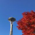 Seattle’s 34th Annual Festa Italiana