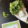 Tutti Pazzi per il Basilico Genovese DOP. Mille[...]