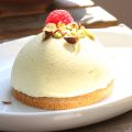 Semifreddo al pistacchio  su biscotto integrale
