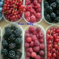 Crostata ai frutti di bosco