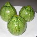 RICETTA ZUCCHINE TONDE RIPIENE AL FORNO
