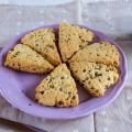CHOCOLATE CHIP SCONE