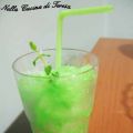 GRANITA ALLA MENTA