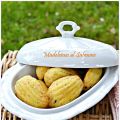 Madeleines al salmone