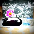 Vita e colore alla nostre case con LineArtistica