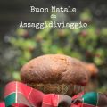 Il panettone di Giorilli per augurarvi Buon[...]