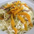 Un piatto di salute: insalatina di verza e[...]