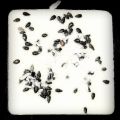 CIOCCOLATO BIANCO, WASABI E SESAMO NERO