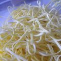 Taglierini all'Amatriciana