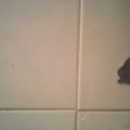 Riordinando e riorganizzando la casa con Tesa[...]