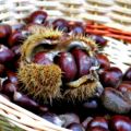 Torta di Castagne