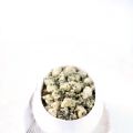 Gnocchi di miglio al cavolo nero per salutare[...]