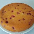 Torta yogurt al cocco e ribes rosso, all'olio
