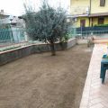 Il nostro giardino...