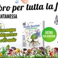 IL MISTERO DEL GRANDALBERO e RICETTE FAVOLATE[...]