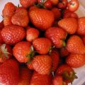 Risotto alle fragole