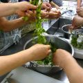 Lezione di cucina dell'8 luglio 2013