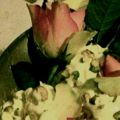 Gelato alla rosa e pistacchi