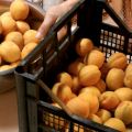 SUCCO DI FRUTTA NATURALE ALL'ALBICOCCA FATTO IN[...]