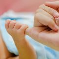QUALI SONO I PRINCIPALI FATTORI CHE CONCORRONO[...]