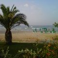 IL MOVIMENTO DELLE ONDE