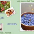 Green Thumb: LYCHEES - Pollice Verde: LITCHIS
