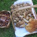 Autunno.....bottino dalla Pfalz