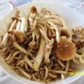 Funghi pioppini saltati in padella con pomodoro.