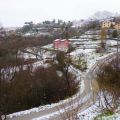 Neve