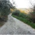 L'INVOLTINO VIEN DALLA CAMPAGNA...(OVVERO[...]
