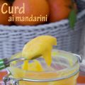 

Curd ai mandarini senza glutine (con Bimby)


