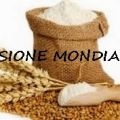 TORTA DI RICOTTA PER LA CONCLUSIONE DELLA SOAP