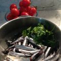 Whole Health Source: Body Fatness and[...]