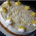 Torta cremosa variegata al mango