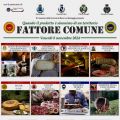 Fattore Comune 2024. L’importanza di fare rete