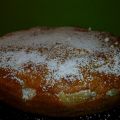 TORTA MORBIDOSA CON FARCIA DI PERE E ZAFFERANO