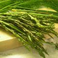 Risotto agli asparagi selvatici