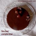 Sacher calabrese di Santin...e AUGURI ... a me!