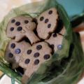 Biscotti con farina di castagne-Chestnut Tree[...]
