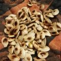 BRUSTOLINI (SEMI DI ZUCCA TOSTATI)