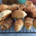 Panini all'olio