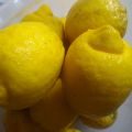 Marmellata di Limoni & Chiodi di Garofano