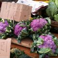 Al mercato di Foggia