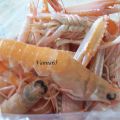 Scampi al sugo
