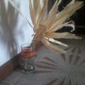 PETALI DI MAIS