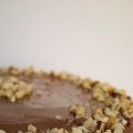 Nutella cheesecake (senza cottura)