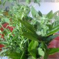 Frittata di Cipolle e Erbe Aromatiche