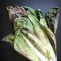 Di radicchio e...