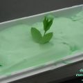 Il gelato di menta