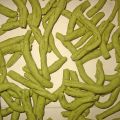 Strozzapreti al basilico con sugo di pane